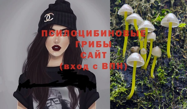 марки lsd Бикин