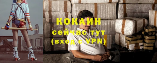 apvp Болотное