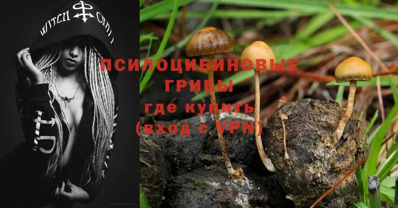 Галлюциногенные грибы MAGIC MUSHROOMS  даркнет сайт  Кировград 